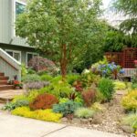 Front Yard Landscaping Ideas | Garden Desi