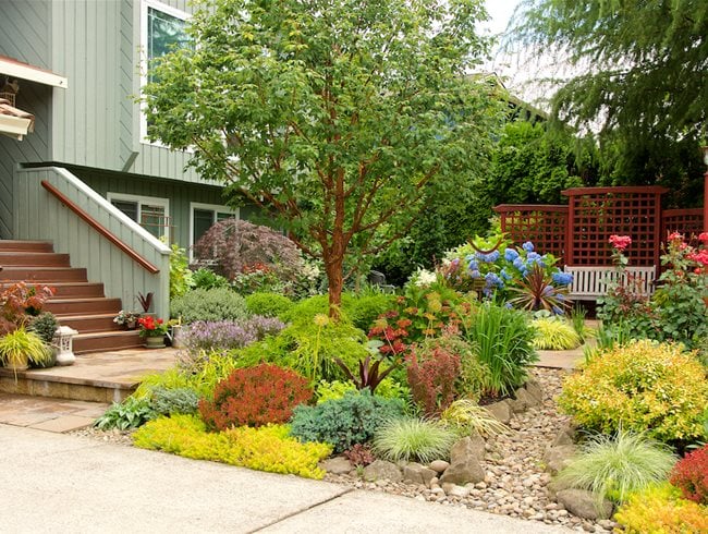 Front Yard Landscaping Ideas | Garden Desi