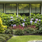 Best Flowering Shrubs for Front Yard Landscapi