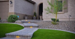 7 Creative Arizona Front Yard Landscape Ide