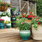 10 Essential Gardening Accessories - The Home Dep