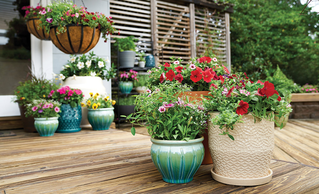 10 Essential Gardening Accessories - The Home Dep