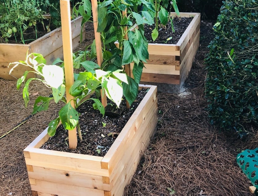 Cedar Planter Box Plans | Discover Raised Garden Bed Ideas in this .