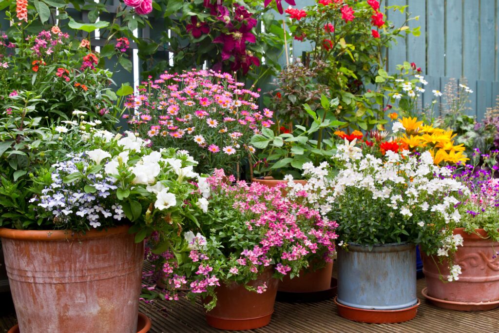 Keep Your Summer Container Garden Thriving | Planter's Library .