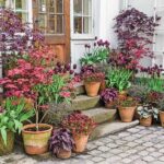 Our Guide to Cottage-Style Container Gardens - Cottage Journ