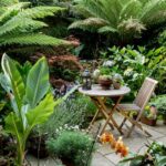 30 Small Garden Design Ideas | BBC Gardeners World Magazi