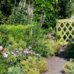 How to Design a Garden | BBC Gardeners World Magazi