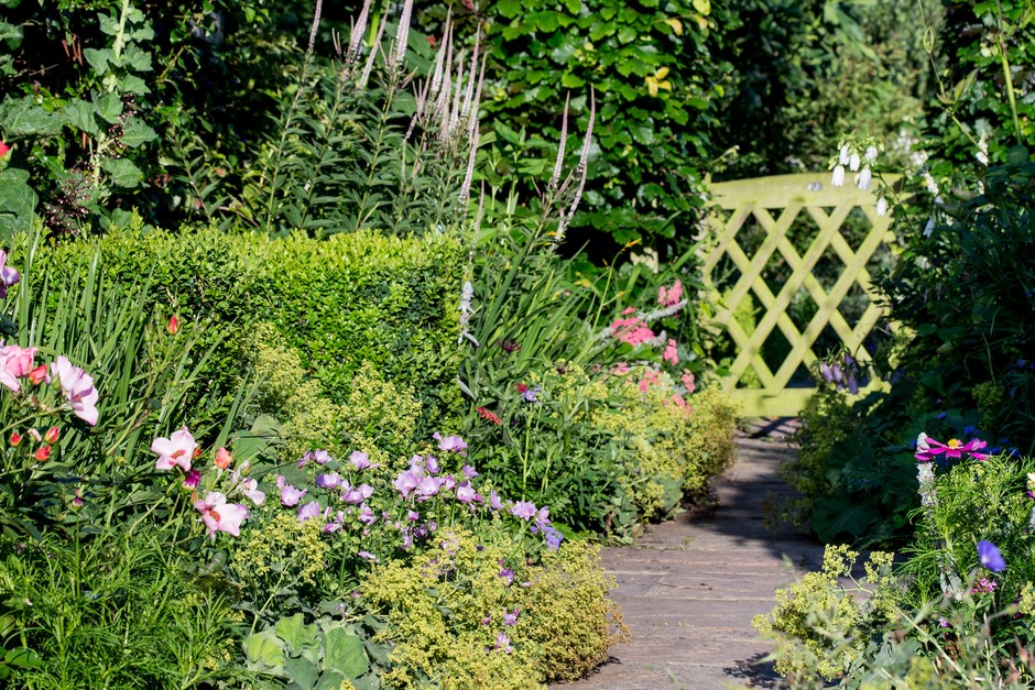 How to Design a Garden | BBC Gardeners World Magazi