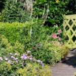 How to Design a Garden | BBC Gardeners World Magazi