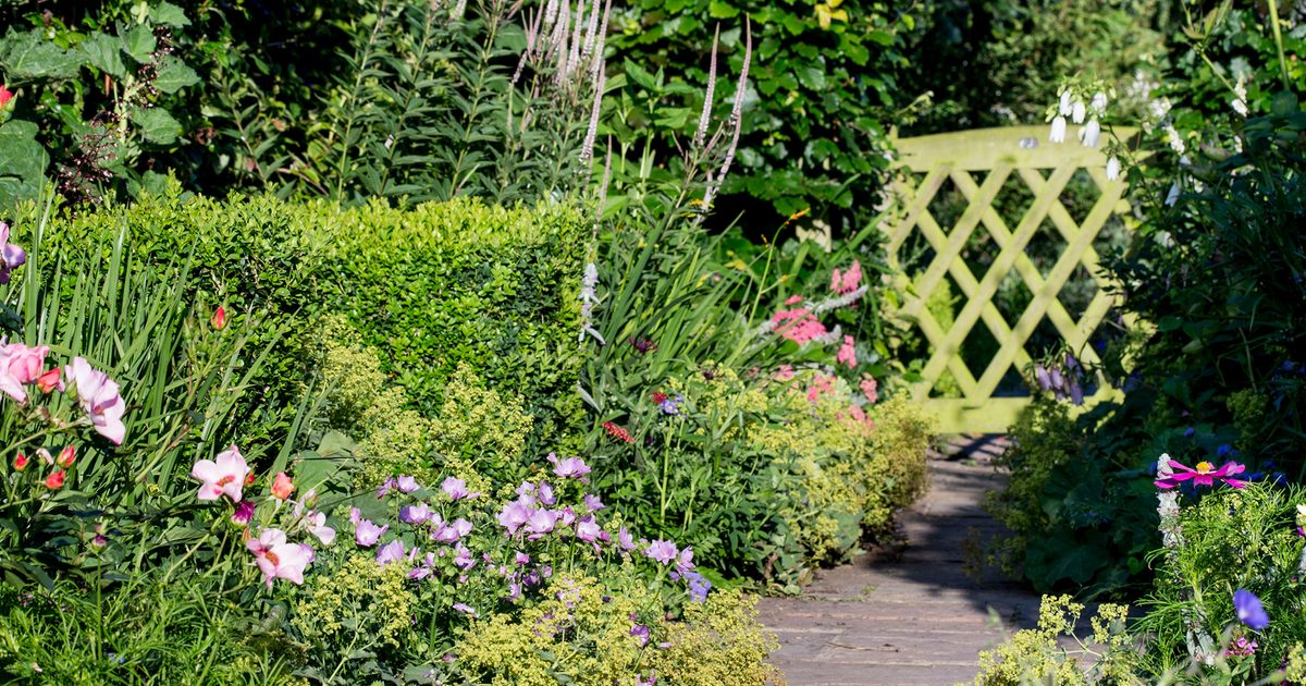 How to Design a Garden | BBC Gardeners World Magazi