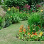 Guide to Garden Borders | BBC Gardeners World Magazi