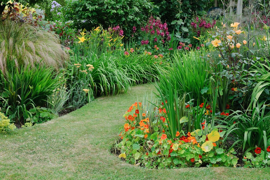 Guide to Garden Borders | BBC Gardeners World Magazi