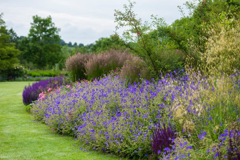 How to plan a border / RHS Gardeni