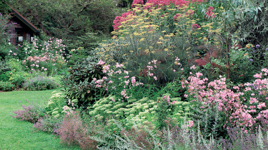 Gorgeous Garden Border Design Ideas for Any Yard in the West - Suns