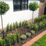 Best Landscape Edging for Your Yard - The Home Dep