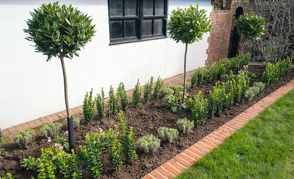 Best Landscape Edging for Your Yard - The Home Dep