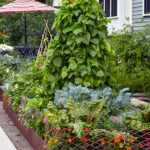 Small Vegetable Garden Ideas | Garden Ga