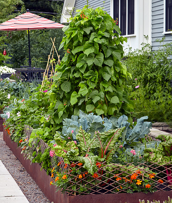 Small Vegetable Garden Ideas | Garden Ga