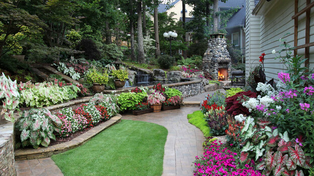 Your Complete Guide to Landscape Design | Cedr