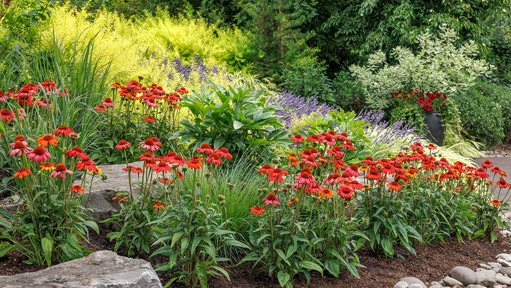 Start Now: Quick and Easy Pollinator Garden Design Ide