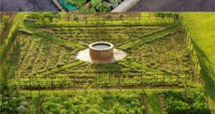 Vegetable Garden Layout: 7 Best Design Secrets - A Piece Of Rainb