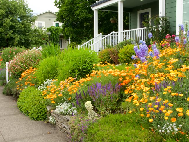 Hillside Landscaping: How to Landscape on a Slope | Garden Desi