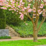 Hillside Landscaping: How to Landscape on a Slope | Garden Desi