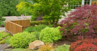 Hillside Landscaping: How to Landscape on a Slope | Garden Desi