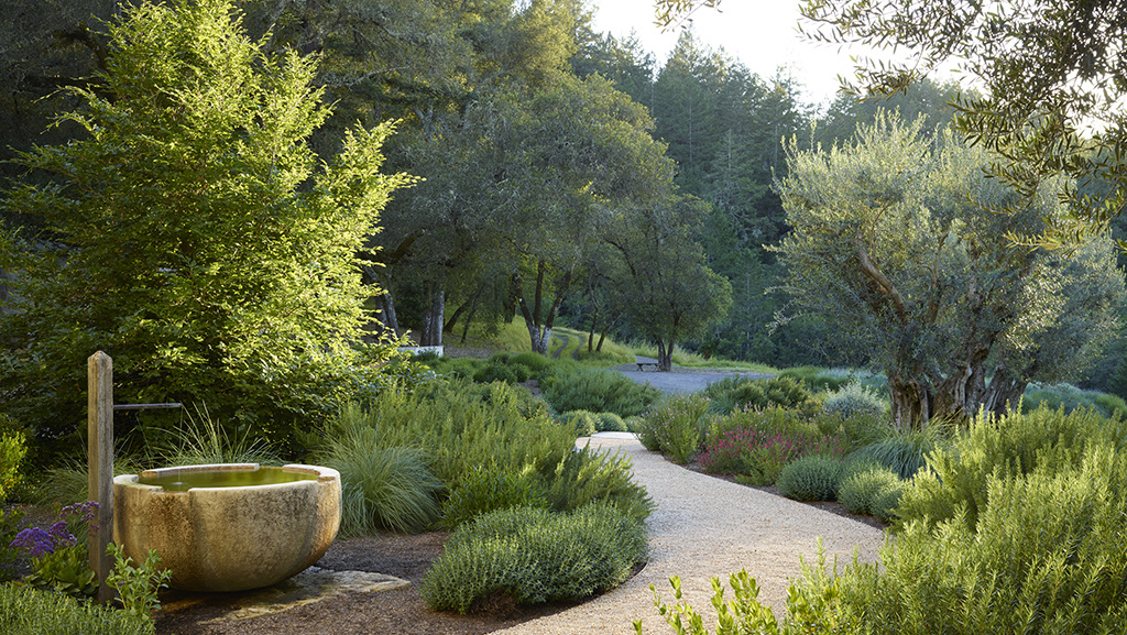 Mediterranean Garden Design Inspiration from the Exper