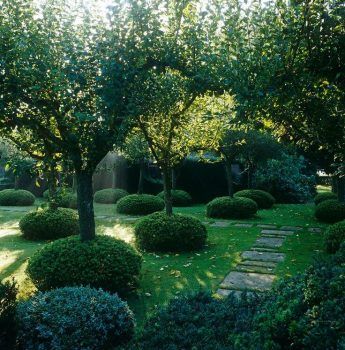 Fruit Tree Landscape Design | Fruit trees garden design, Small .