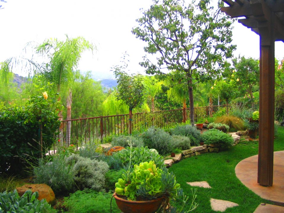 Design a Garden with a View! | Eden Makers Blog by Shirley Bovsh