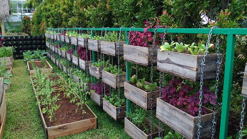 25 Incredible Vegetable Garden Ideas | Trees.c