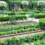 beautiful home gardening | Home vegetable garden design, Garden .