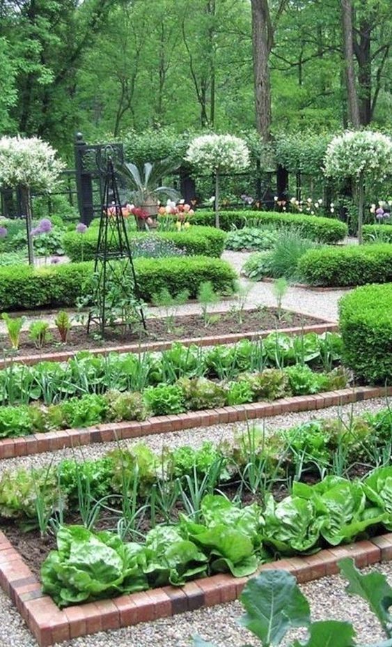 beautiful home gardening | Home vegetable garden design, Garden .