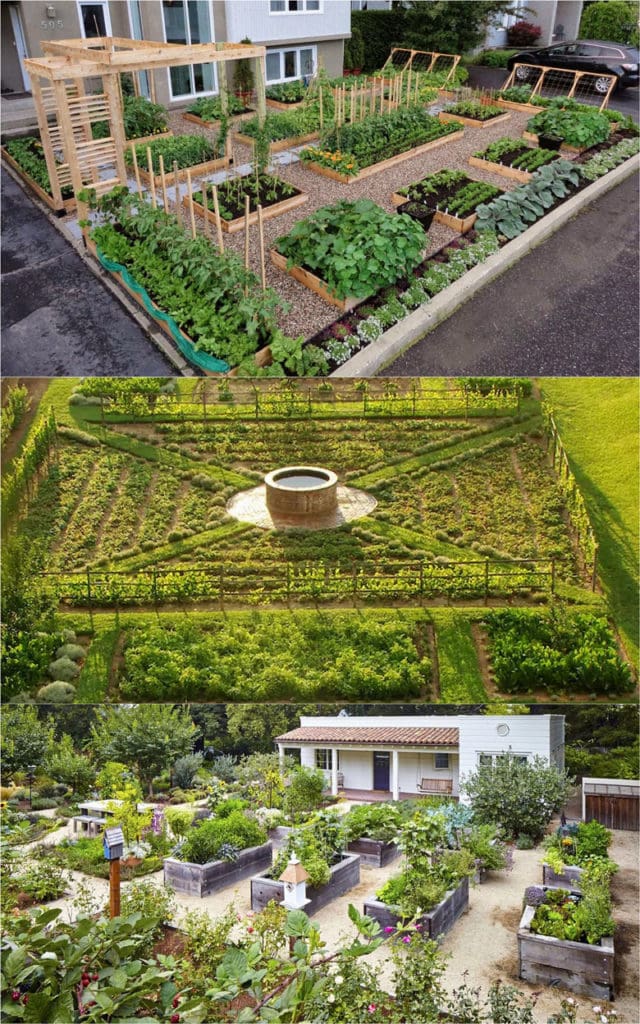 Growing a Delicious and Beautiful
Vegetable Garden: A Guide to Garden Design