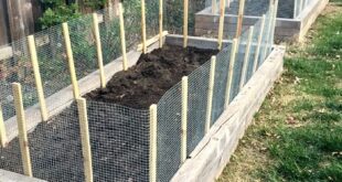 DIY Garden Fence Ideas - Protect Your Harve