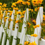 Garden Fencing at Menards