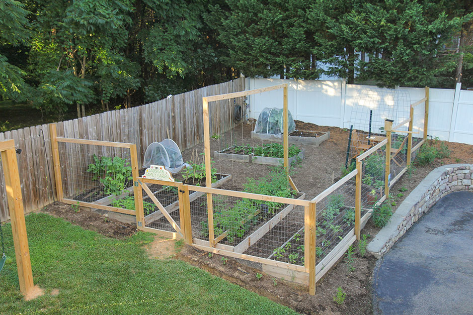 How to build a custom deer fence for your garden – Whitney .