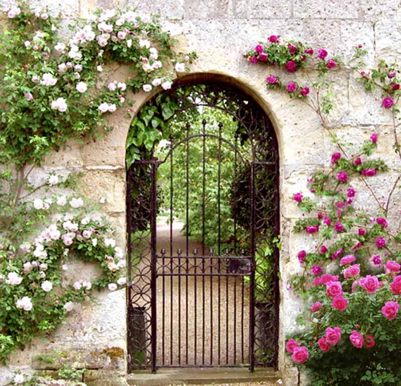 Garden Gate | Iron Garden Gates| Wrought Iron Gates | Iron .