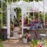 How to turn your greenhouse into a sanctuary - Gardens Illustrat