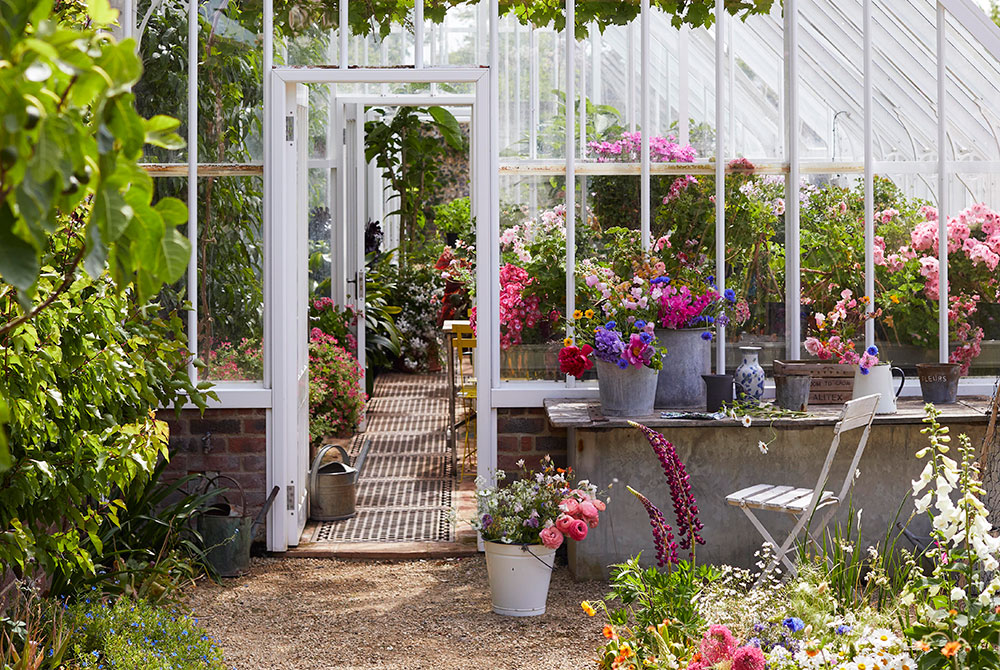 How to turn your greenhouse into a sanctuary - Gardens Illustrat