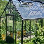 Backyard greenhouse lets you garden and harvest food even in wint