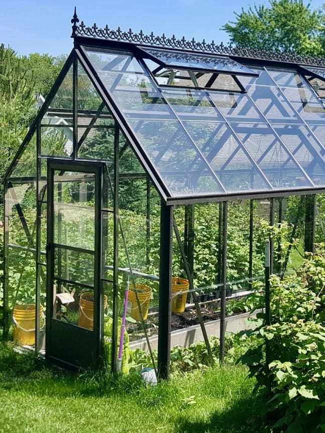 Backyard greenhouse lets you garden and harvest food even in wint