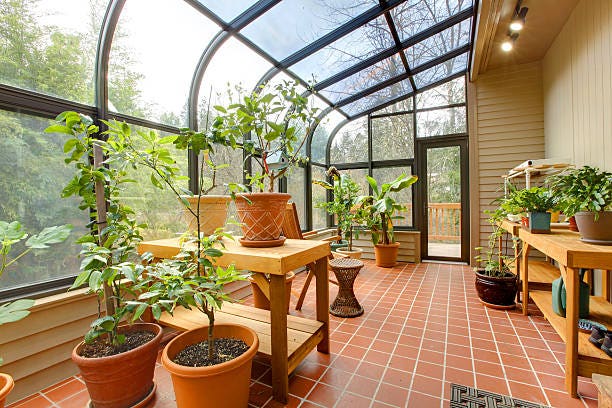 Best Things To Grow In Your Greenhouse – Forbes Ho