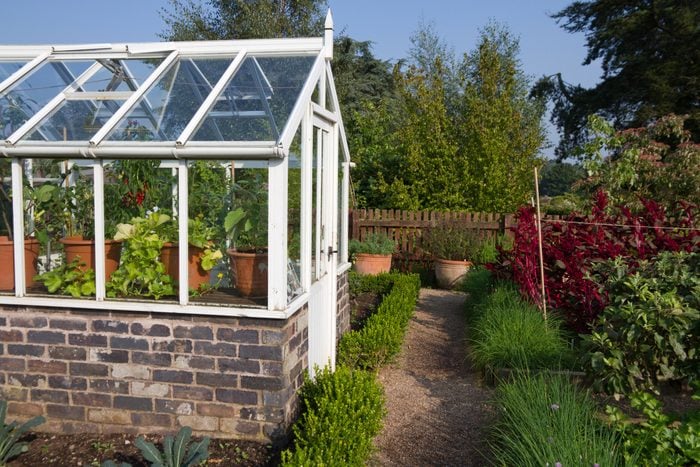 Guide To Greenhouse Gardening | The Family Handym