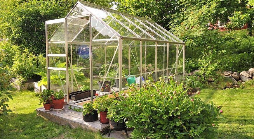 Greenhouses: Pros & Cons - Garden Weas