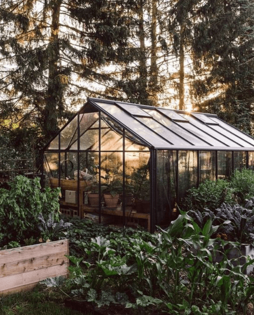 The 411 on Small Greenhouses | 136 ho