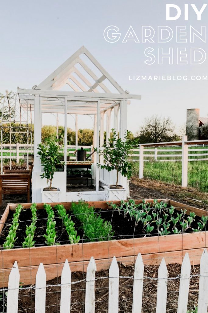 DIY Greenhouse Garden Shed - Liz Marie Bl