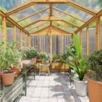 Greenhouse Gardening for Beginner - Tips and Questio