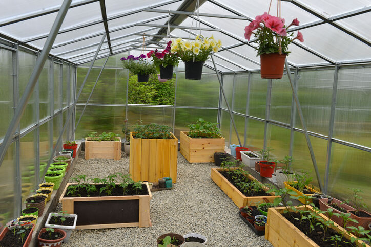 Greenhouses in the desert: Are they usefu